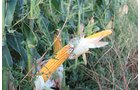 Property photo 69 - LAND AUCTION, 3255+/- Acres offered in 13 Tracts